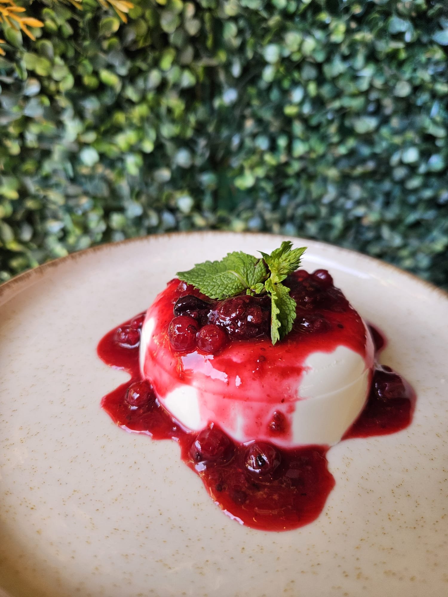 Panna Cotta 140gr