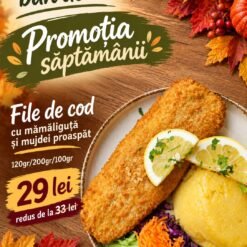 Oferta săptămânii